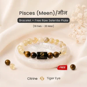 Pisces (मीन राशि) Zodiac Citrine & Tiger Eye Bracelet